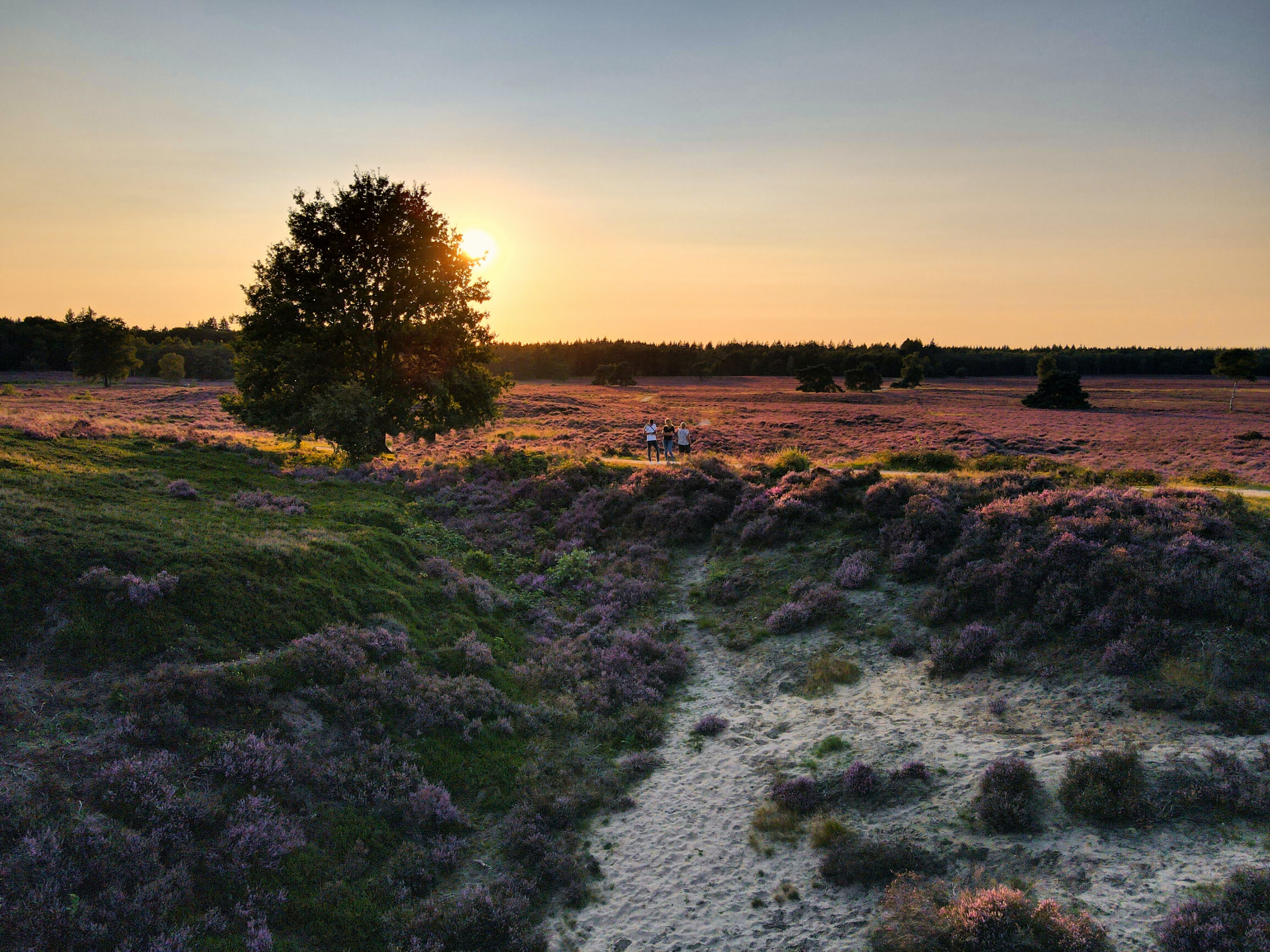 Gelderland