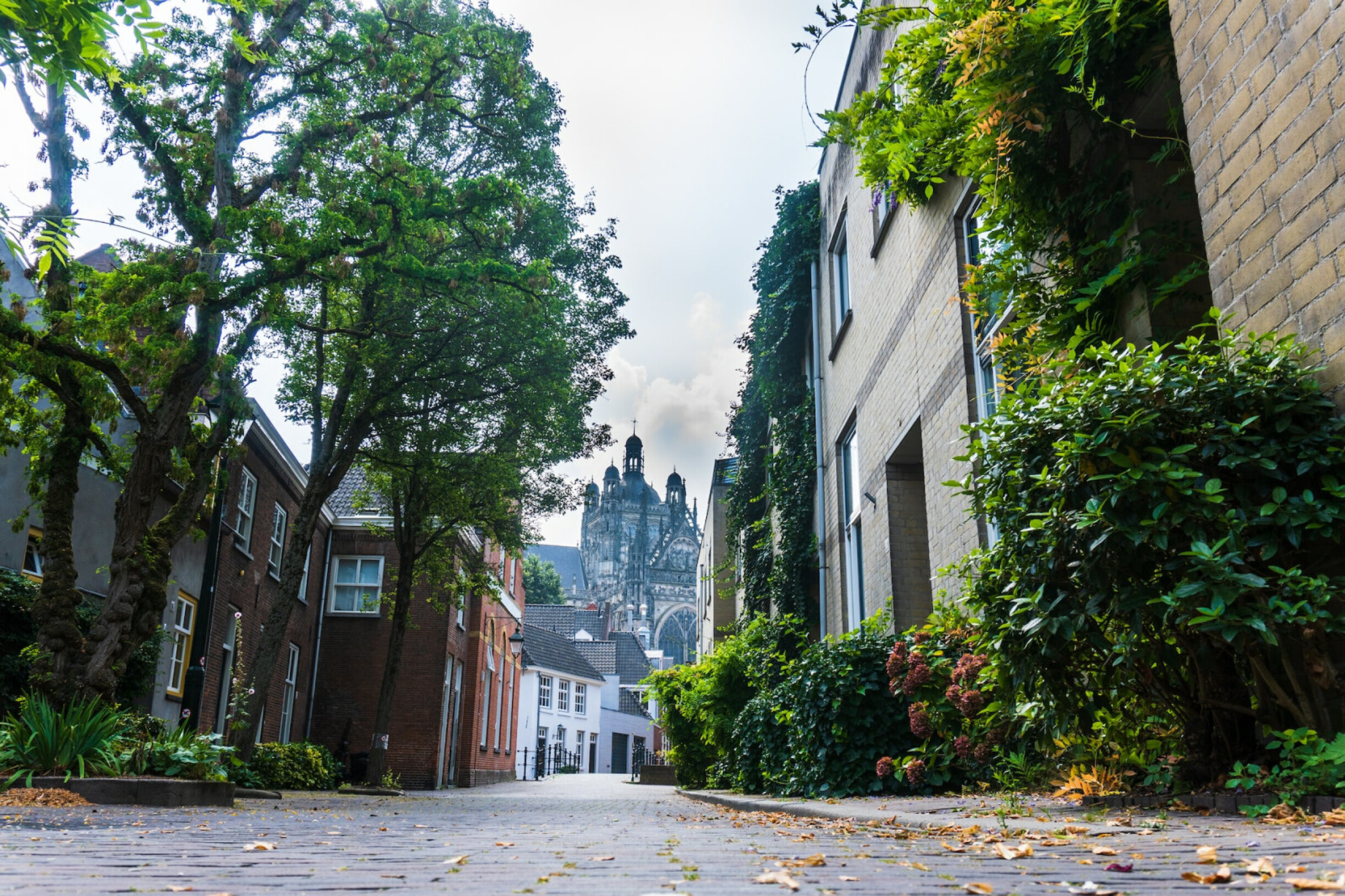 's-Hertogenbosch