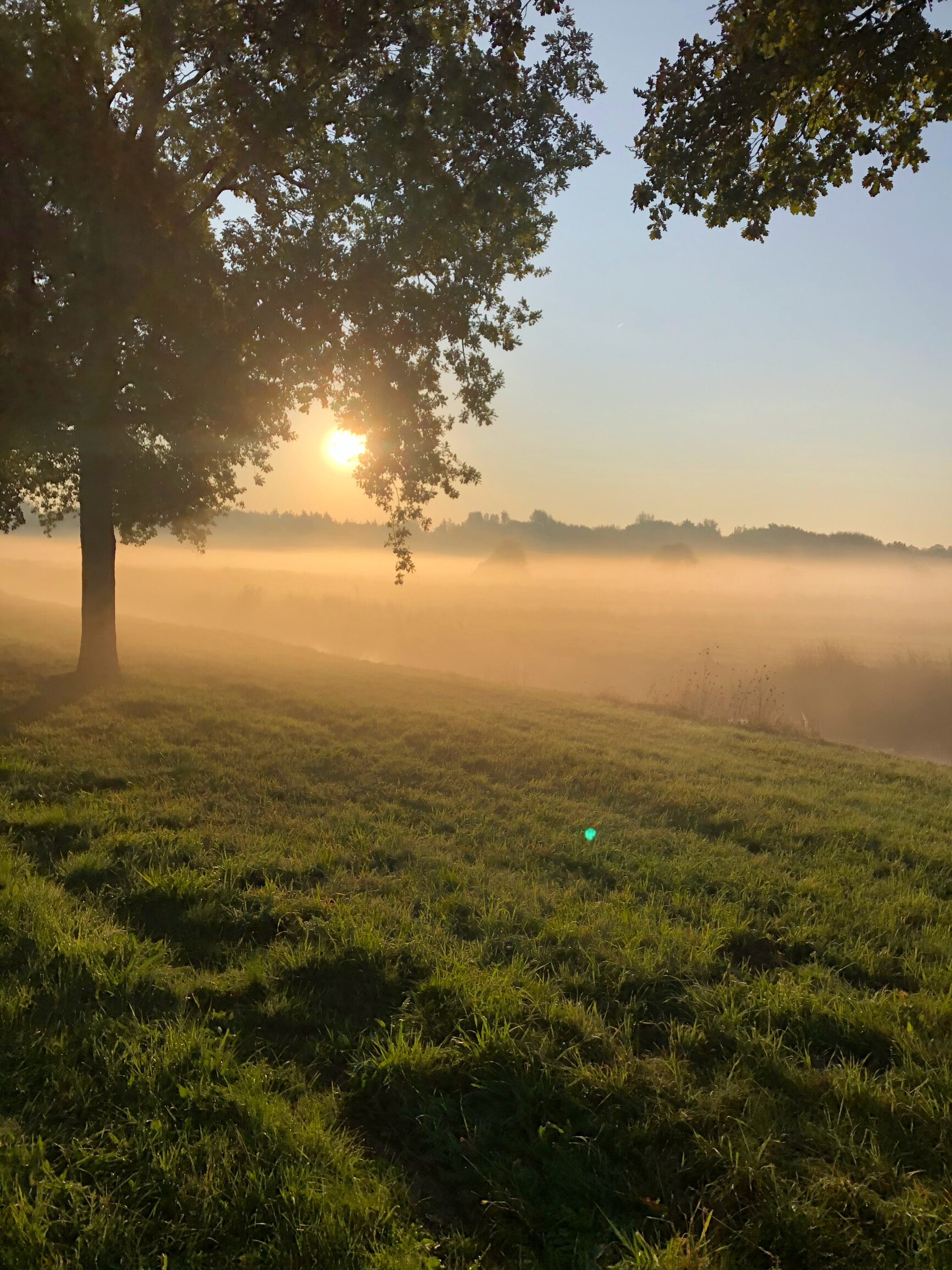 Zevenaar